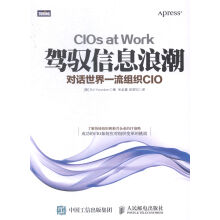 《驾驭信息浪潮-对话组织CIO书籍计算机与互联网IT人文互联网》[42M]百度网盘|pdf下载|亲测有效