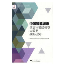《中国智能城市信息环境建设与大数据战略研究书籍计算机与互联网大数据与云计算》[75M]百度网盘|pdf下载|亲测有效