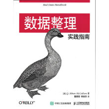 《数据整理实践指南分类计算机与互联网数据库》[52M]百度网盘|pdf下载|亲测有效