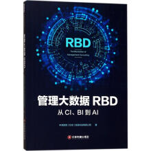 《管理大数据RBD》[70M]百度网盘|pdf下载|亲测有效