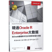 《精通OracleREnterprise大数据》[80M]百度网盘|pdf下载|亲测有效
