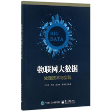 《物联网大数据处理技术与实践》[98M]百度网盘|pdf下载|亲测有效