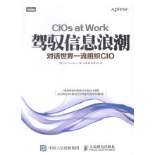 《驾驭信息浪潮-对话组织CIO计算机与互联网》[61M]百度网盘|pdf下载|亲测有效