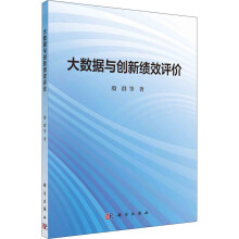 《大数据与创新绩效评价》[88M]百度网盘|pdf下载|亲测有效