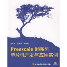 《Freescale系列：单片机开发与应用实例》[87M]百度网盘|pdf下载|亲测有效