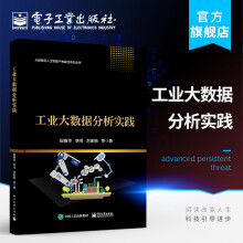 《官方工业大数据分析实践大数据及人工智能产教融合系列丛书田春华备故障诊断健康管》[60M]百度网盘|pdf下载|亲测有效