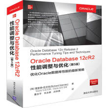 《OracleDatabasecR2性能调整与优化K2--5-1~》[47M]百度网盘|pdf下载|亲测有效