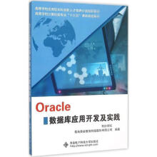 《Oracle数据库应用开发及实践》[41M]百度网盘|pdf下载|亲测有效