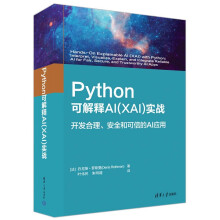 《Python可解释AI实战》[98M]百度网盘|pdf下载|亲测有效