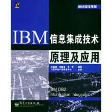 《IBM信息集成技术原理及应用》[99M]百度网盘|pdf下载|亲测有效