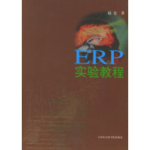 《ERP实验教程》[65M]百度网盘|pdf下载|亲测有效