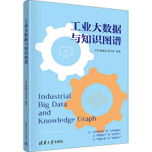 《工业大数据与知识图谱王坚,戴毅茹,凌卫青编书籍》[62M]百度网盘|pdf下载|亲测有效