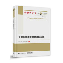 《国之重器出版工程大数据环境下的物联网系统》[74M]百度网盘|pdf下载|亲测有效