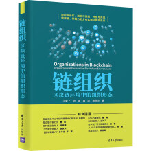 《链组织:区块链环境中的组织形态王紫上、孙健、蒋涛、张秋水书籍》[85M]百度网盘|pdf下载|亲测有效