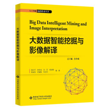 《大数据智能挖掘与影像解译》[51M]百度网盘|pdf下载|亲测有效