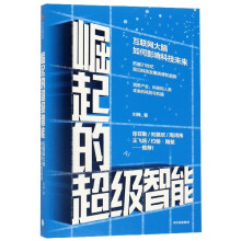 《崛起的超级智能》[46M]百度网盘|pdf下载|亲测有效