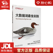 《大数据湖最佳实践AlexGorelik著中国电力》[99M]百度网盘|pdf下载|亲测有效