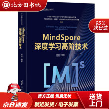 《MindSpore深度学习高阶技术华为智能计算技术丛书陈雷北方城》[54M]百度网盘|pdf下载|亲测有效