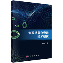 《大数据复杂查询技术研究》[91M]百度网盘|pdf下载|亲测有效
