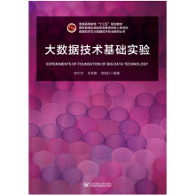 《大数据技术基础实验》[70M]百度网盘|pdf下载|亲测有效
