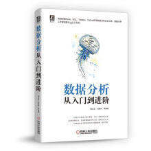 《数据分析从入门到进阶》[47M]百度网盘|pdf下载|亲测有效