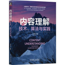 《内容理解：技术、算法与实践》[66M]百度网盘|pdf下载|亲测有效