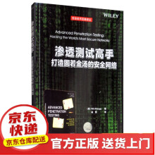 《CTF安全竞赛入门渗透测试高手》[57M]百度网盘|pdf下载|亲测有效