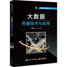 《大数据挖掘技术与应用周中元,王菁书籍》[67M]百度网盘|pdf下载|亲测有效