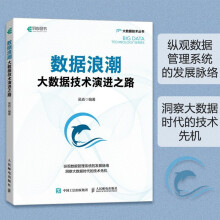 《数据浪潮：大数据技术演进之路数据管理系统发展数据时代书籍吴垚著异步出品》[41M]百度网盘|pdf下载|亲测有效
