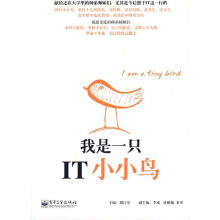 《我是一只IT小小鸟胡江堂主编》[53M]百度网盘|pdf下载|亲测有效