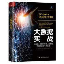 《大数据实战:大数据.数据科学和人工智能在商务决策中的应用计算机与互联网》[56M]百度网盘|pdf下载|亲测有效