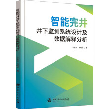 《智能完井井下监测系统设计及数据解释分析》[72M]百度网盘|pdf下载|亲测有效