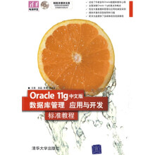 《电脑学堂：Oracleg中文版数据库管理、应用与开发标准教程》[67M]百度网盘|pdf下载|亲测有效