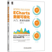 《ECharts数据可视化入门、实战与进阶王大伟书籍》[94M]百度网盘|pdf下载|亲测有效