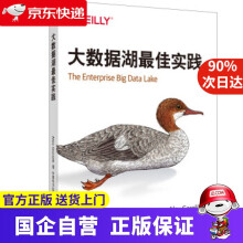 《大数据湖佳实践中国电力》[84M]百度网盘|pdf下载|亲测有效
