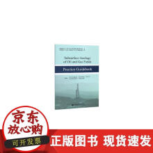 《插件式GIS应用框架开发与并行计算实践》[64M]百度网盘|pdf下载|亲测有效