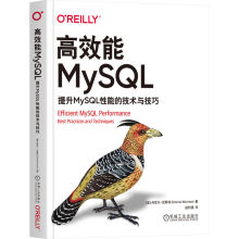 《高效能MySQL：提升MySQL性能的技术与技巧》[59M]百度网盘|pdf下载|亲测有效