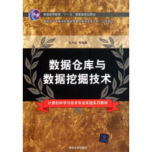 《数据仓库与数据挖掘技术(计算机科学与技术专业实践系列教材普通高等教育十一五***规划》[53M]百度网盘|pdf下载|亲测有效