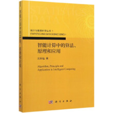 《智能计算中的算法原理和应用》[58M]百度网盘|pdf下载|亲测有效