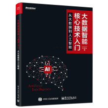 《大数据智能核心技术入门：从大数据到人工智能》[93M]百度网盘|pdf下载|亲测有效