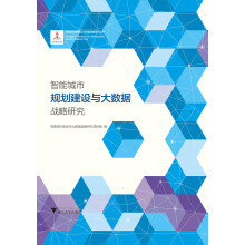 《智能城市规划建设与大数据战略研究》[61M]百度网盘|pdf下载|亲测有效