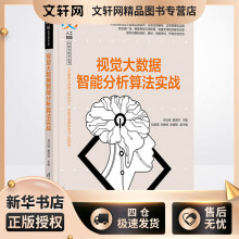 《视觉大数据智能分析算法实战刘衍琦,曲海洋编书籍》[95M]百度网盘|pdf下载|亲测有效