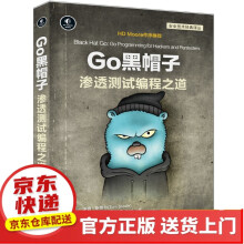 《CTF安全竞赛入门Go黑帽子渗透测试编程》[68M]百度网盘|pdf下载|亲测有效