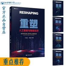 《重塑：人工智能与智能经济》[86M]百度网盘|pdf下载|亲测有效