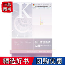 《会计信息系统应用》[87M]百度网盘|pdf下载|亲测有效