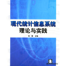《现代统计信息系统理论与实践杜栋》[57M]百度网盘|pdf下载|亲测有效