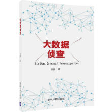 《大数据侦查王燃书籍》[81M]百度网盘|pdf下载|亲测有效