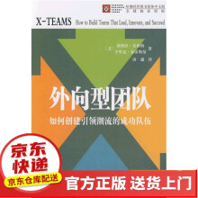 《IT风险外向型团队》[73M]百度网盘|pdf下载|亲测有效