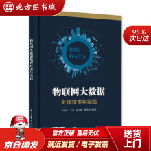 《物联网大数据处理技术与实践王桂玲等编著北方城》[72M]百度网盘|pdf下载|亲测有效