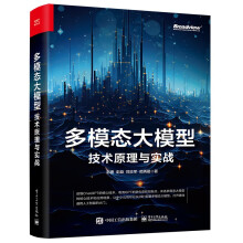 《多模态大模型：技术原理与实战》[99M]百度网盘|pdf下载|亲测有效